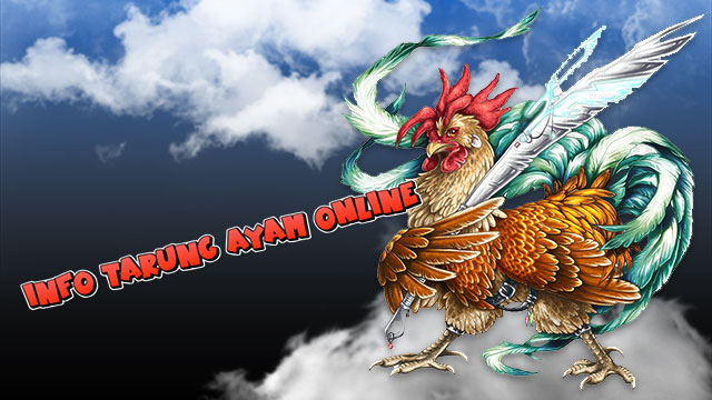 Info Tarung Ayam Online