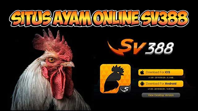 Situs Ayam Online SV388